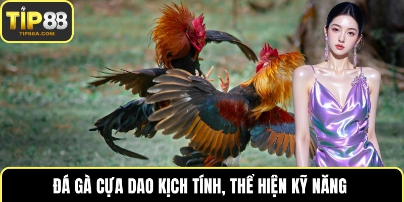 Đá gà cựa dao kịch tính, thể hiện kỹ năng