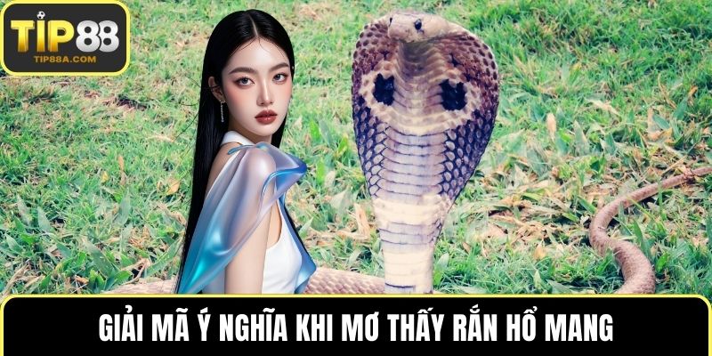 Giải mã ý nghĩa khi mơ thấy rắn hổ mang