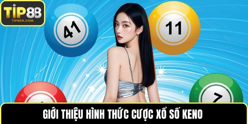 Giới thiệu hình thức cược xổ số Keno 